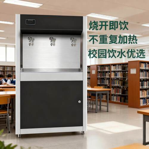 不锈钢商用饮水机加热过滤一体开水器校园单位集中饮水台一开二温