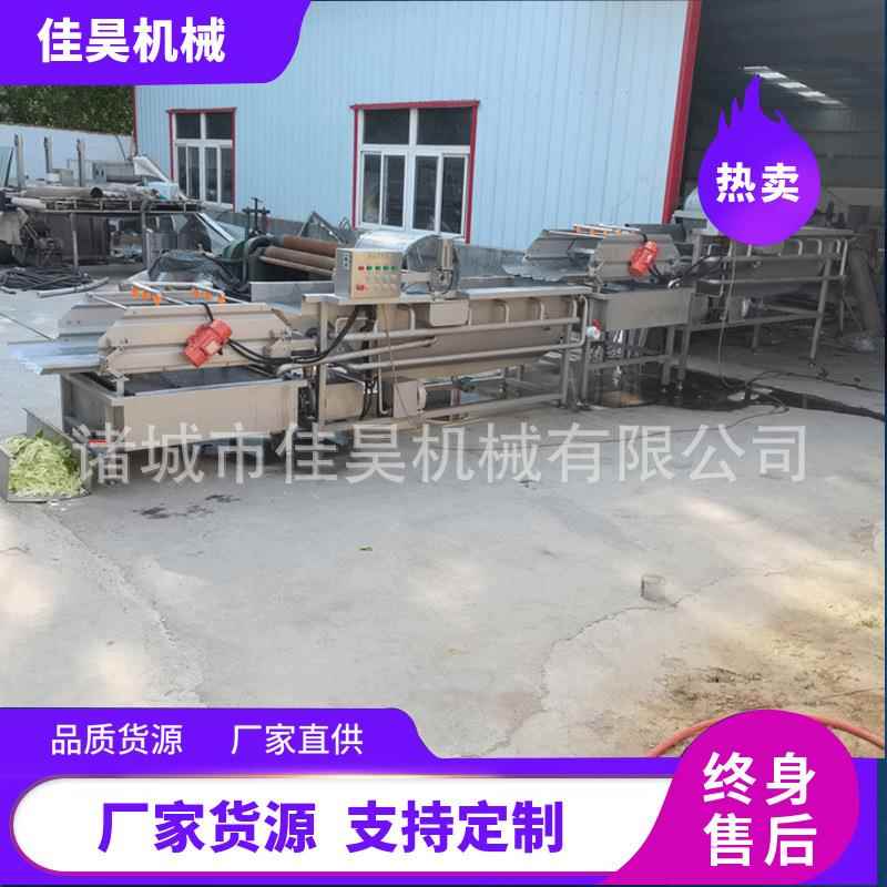 涡流洗菜机洋葱气泡臭氧洗菜机蔬菜条清洗机厂家各种蔬菜清洗机