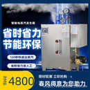 36KW电蒸汽锅炉工业商用电热蒸汽机热源电加热蒸汽发生器桥梁养护