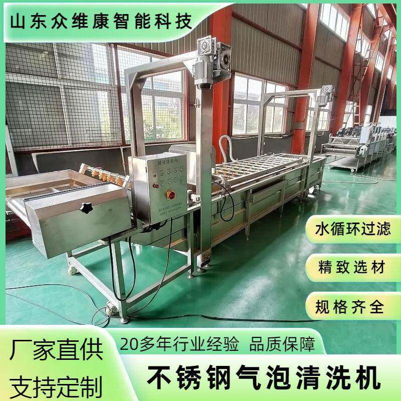 全自动气泡清洗机瓜果蔬菜清洗设备海参龙虾海产品去污机器