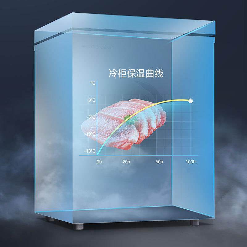 串冷串速全冻小冰柜305家用大容量冷冻小型保鲜双温柜你两用迷家,商业/办公家具,冷藏展示柜,淘宝优惠券,粉丝福利购,淘宝优惠卷