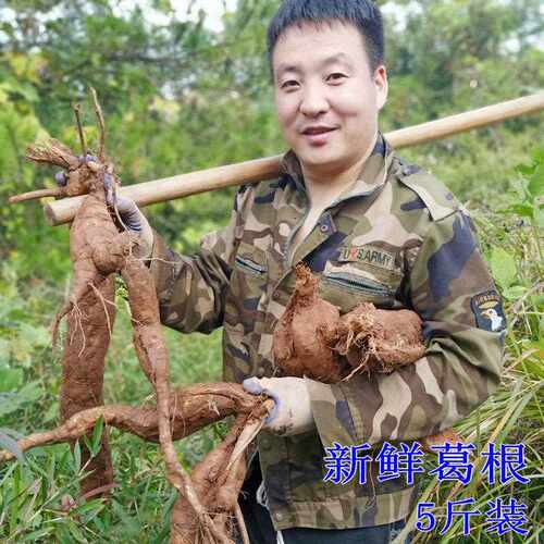 三清山葛根 新鲜葛江西农家现挖新鲜野葛根5斤包邮 可洗粉煲汤