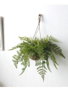 北欧ins高档蕨类仿真植物墙壁装饰藤条绿萝挂花吊篮挂藤家居挂饰