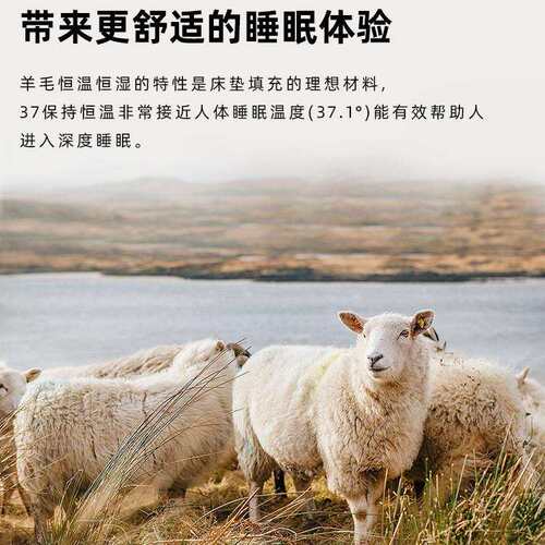 羊毛驼绒无胶水马尾毛双层mini弹簧手工拉扣五星酒店床垫