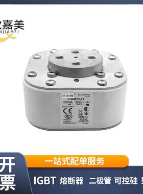 170M7062 170M7063 快速熔断器 保险丝 电子元器件 量大价优