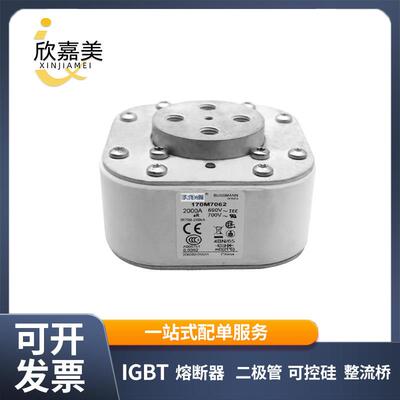170M7062 170M7063 快速熔断器 保险丝 电子元器件 量大价优