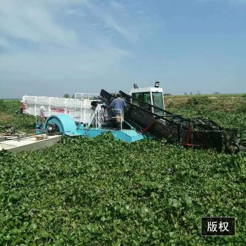FWV全上自动水草苔芦苇收割船打水漂浮物保洁船捞浒水草水藻打船