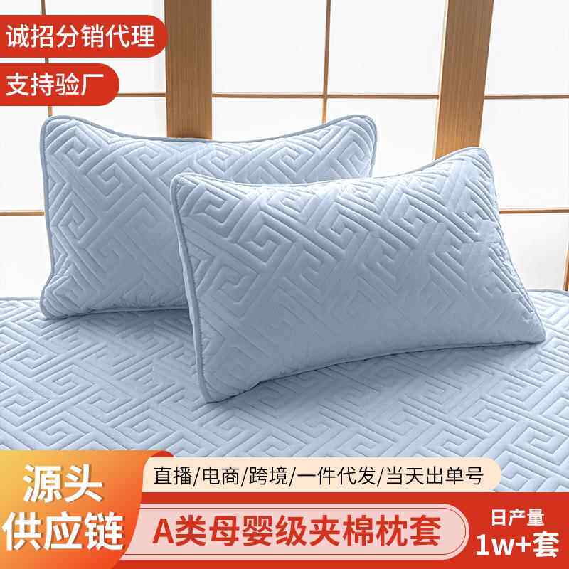 防口水头油枕头套防汗夹棉枕套单个家用一对装整忱头套48cmx74cm
