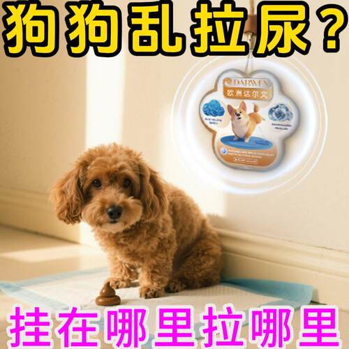 【狗狗自己上厕所】狗狗定点上厕所狗定点排便大小便训练