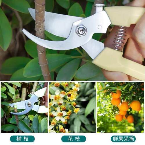 不锈钢强力修枝园艺剪刀果园剪刀