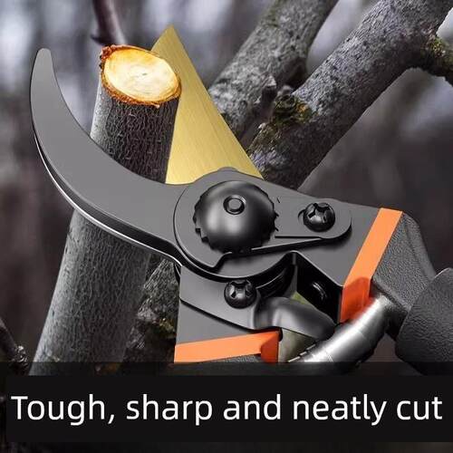 新型工艺钢Sk5修剪剪省力家用果树园林粗枝剪嫁接花卉园艺剪工具