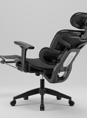 Ergonomic Chair swivel office chair computer chairs 人体工学