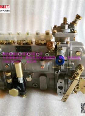 潍柴WP6发电机组燃油泵13050608喷油泵BH6PN120R衡阳泵B6AD548G