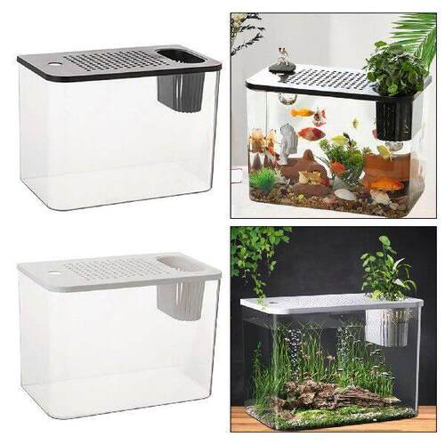 Reptile Terrarium Desktop with Full View Visually for