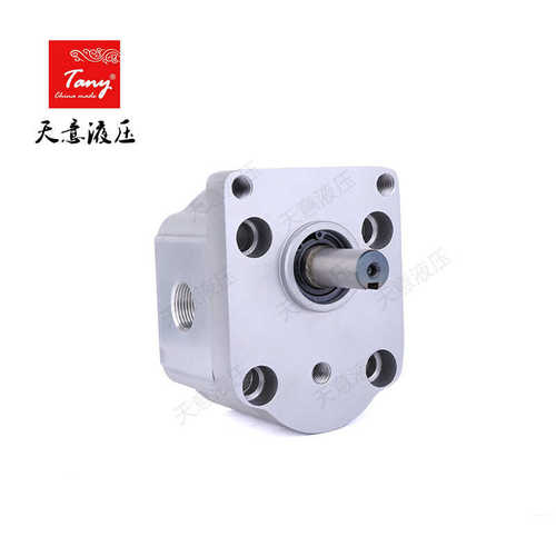 提供双向齿轮油泵CBS-D312 电液推杆中小型工程机械专用液压泵
