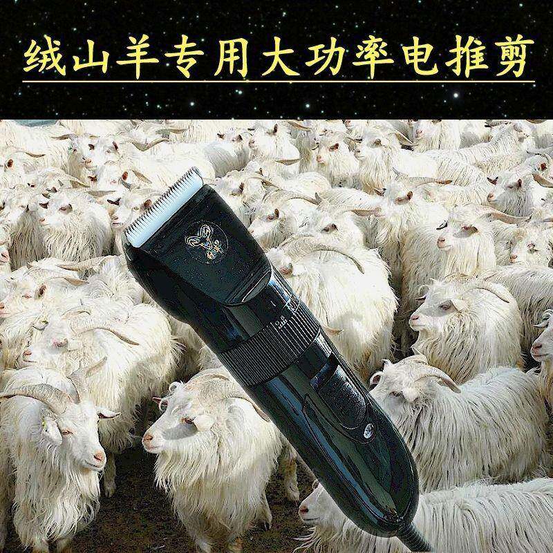 新款直销绒山羊大功率电推剪陶瓷刀头长毛兔剃毛器宠物店犬用推子