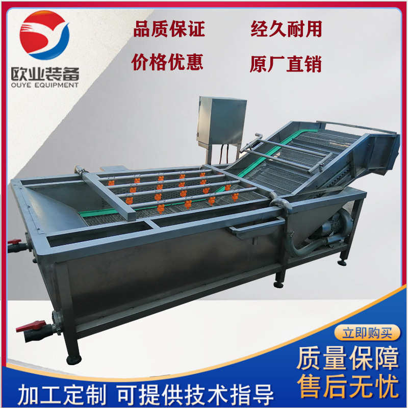 花生大豆气泡清洗机 蔬菜清洗机设备 净菜果蔬清洗机