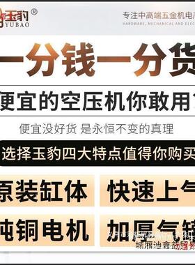 工空级压机业大型38WNW0V压气泵小型220高V喷漆打气泵汽修空气压