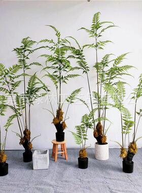 彷真蕨猴头蕨金丝蕨家居客厅商场店铺假植物彷真绿色植物盆栽装饰