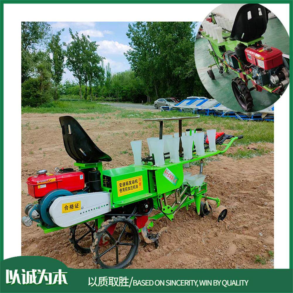 乘坐式蔬菜秧苗种植 两行辣椒苗栽种设备 茄苗辣椒西红柿播种机