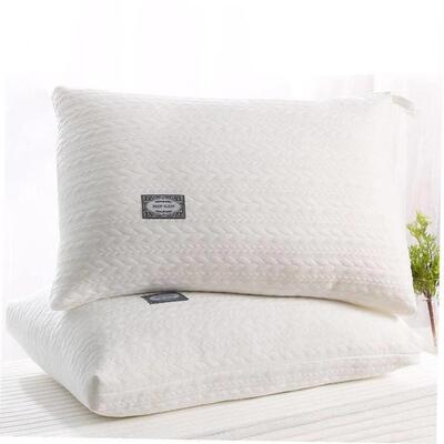 枕头sleeping pillow bed set health care big double 1/2pcs