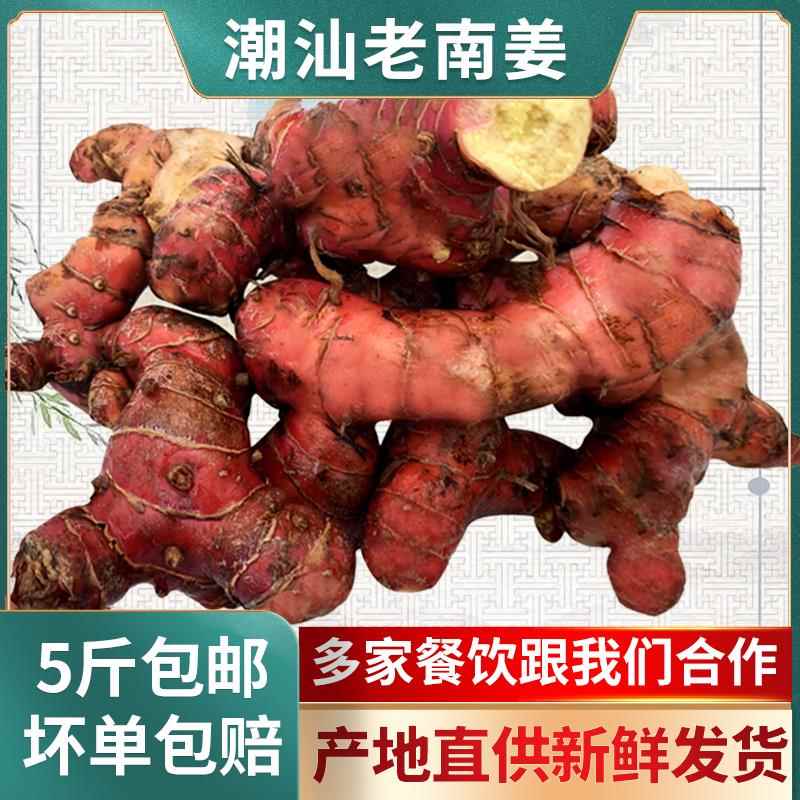 潮汕新鲜老南姜5斤装 商用猪脚饭卤鹅卤菜牛羊肉火锅去膻提鲜调料