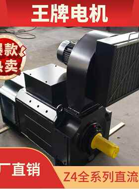 厂家直销王牌电机Z4-250-31132w1000rpm440V他励直流电机