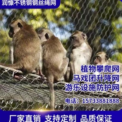 304不锈c钢钢丝m绳网安q全防坠网植物攀爬绳网高空防坠不锈钢编织