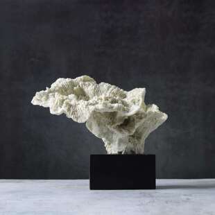 树脂仿真珊瑚树摆件家现代北欧轻奢家居样板间酒店民宿高级装饰品