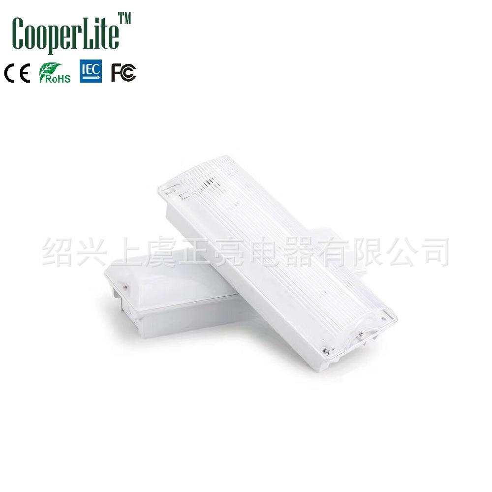 灯管式/LED长方形应急吸顶灯外壳
