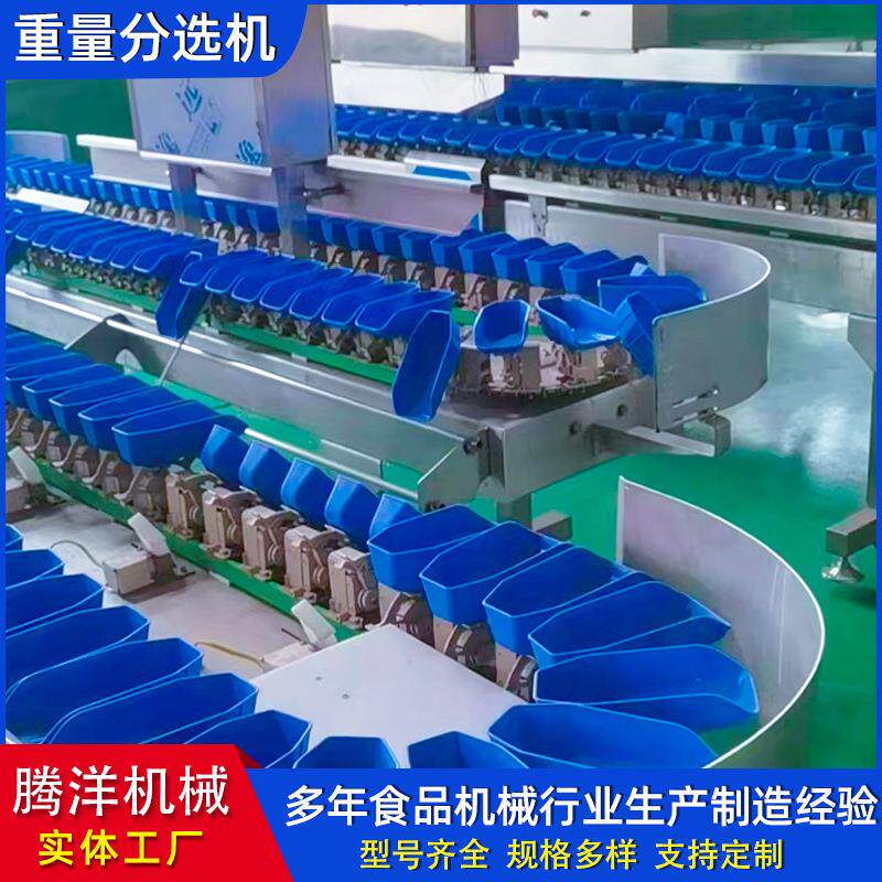 大闸蟹重量分选机 牡蛎料盒式分级机 海参检重设备厂家 分拣机