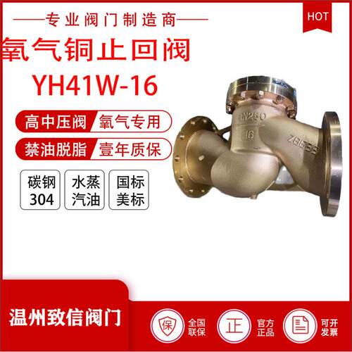 厂家直销HY41W-40P不锈钢氧气止回阀升降式法兰止回阀禁油脱脂