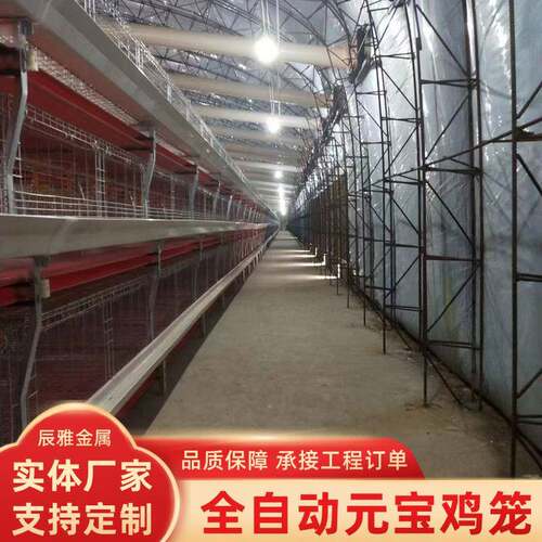 层叠立式蛋鸡笼肉鸡笼三层养殖场自动集蛋清粪喂料养殖元宝肉鸡笼