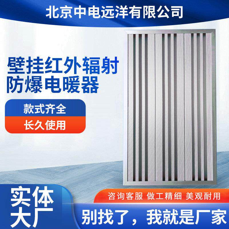 温煦双面铝镁合金电暖气片红外辐射直热式电采暖壁挂可移电暖器片