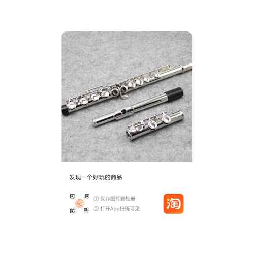 正品原装正品211SL长笛乐器初学调1C6闭孔镀银学长笛初生学者儿童