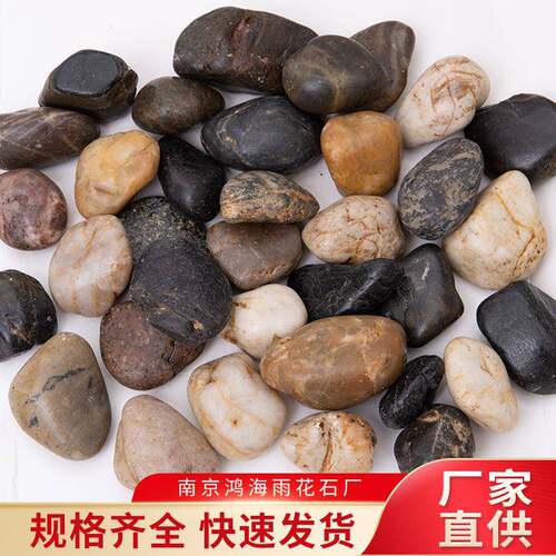普抛杂石直销园林铺路专用杂色天然鹅卵石天然鹅卵石
