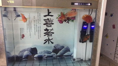 谁用过YEE大型鱼缸水族箱怎么样?坑不坑人曝光?