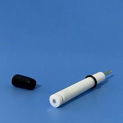 3mm金，玻碳，铂电镜用玻碳电极 电镜电极 可拆卸两用电极 可开票