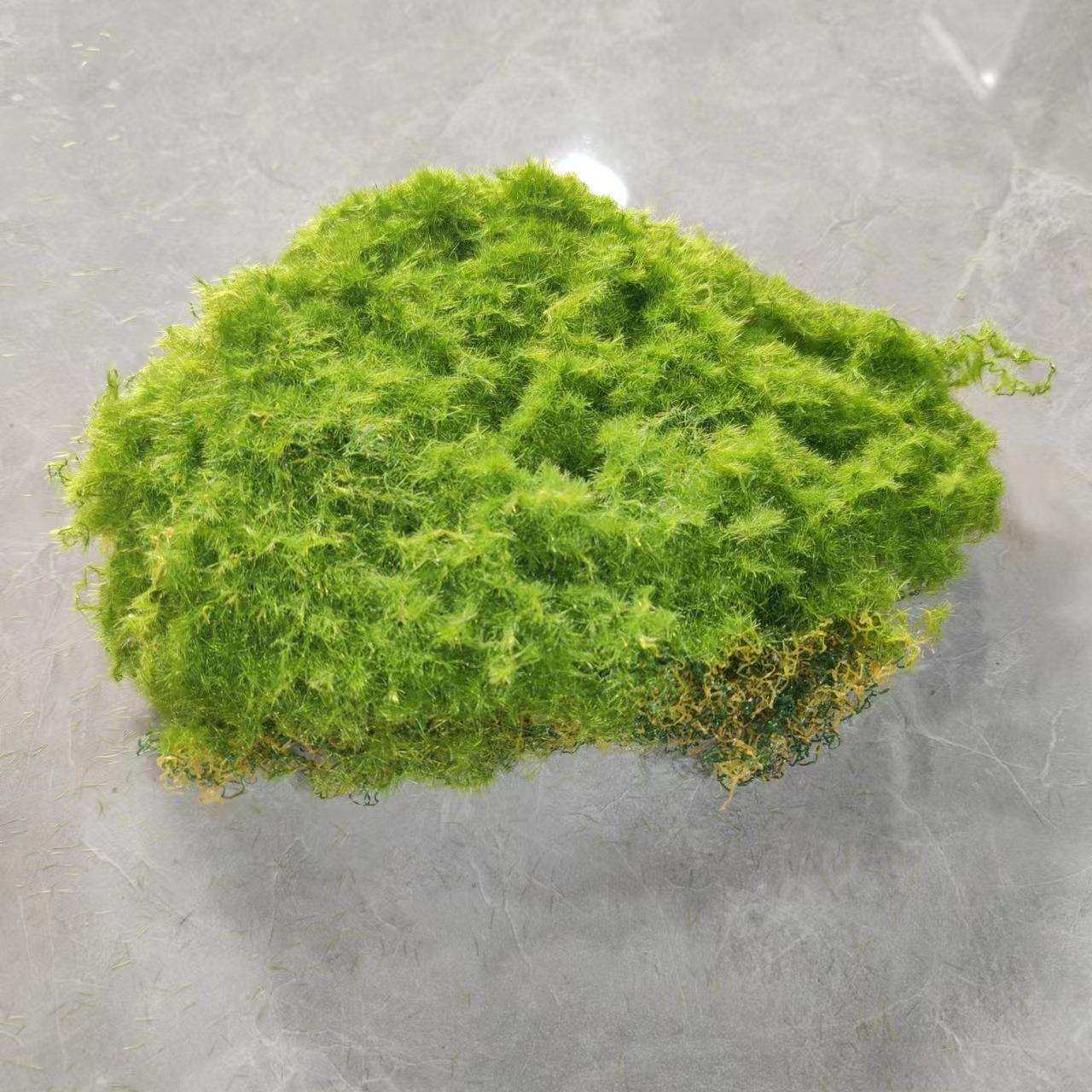 仿真苔藓草皮 青苔草皮 网红苔藓绿植墙布景 仿真曲丝青苔块