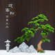 仿真迎客松大型假树新中式 造景室内外崖柏绿植美人松大型落地摆件