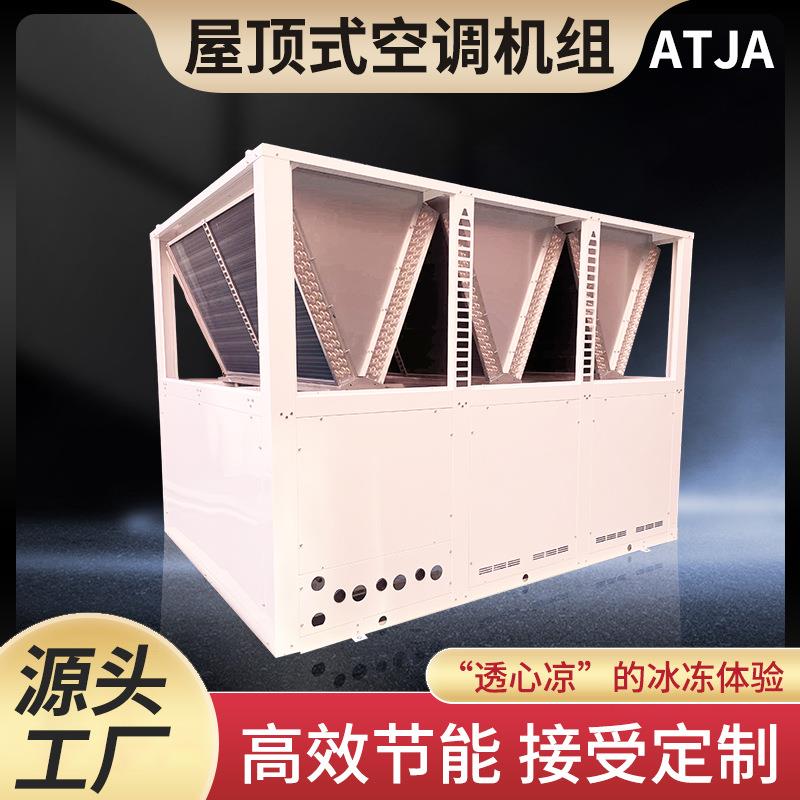 屋顶式空调机组恒温恒湿新风系统净化空气处理机组合式屋顶一体机