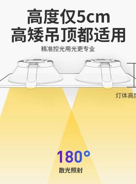 双头筒灯双孔嵌入式超薄过道玄关天花开孔10*20cmled射灯斗胆灯