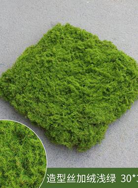 苔藓草坪青苔植绒草皮绿色景观造景装饰室内软装绿植墙面假山摆放