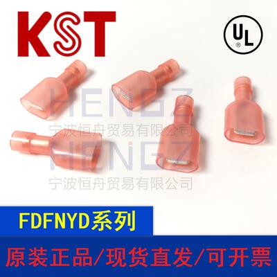健和兴KST/FDFNYD1-250/MDFNYD1-250/全绝缘尼龙带铜套公母端