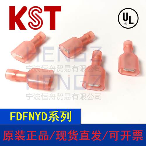 健和兴KST/FDFNYD1-250/MDFNYD1-250/全绝缘尼龙带铜套公母端