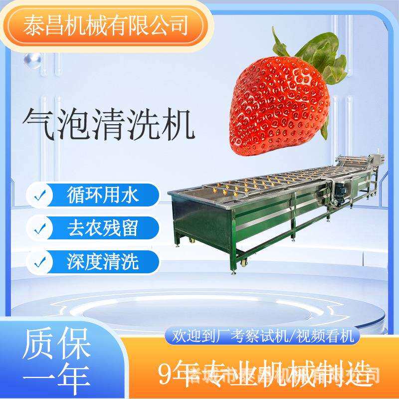 橄榄菜气泡清洗机酱菜脱盐清洗设备蓝莓清洗加工流水线葡萄洗果机
