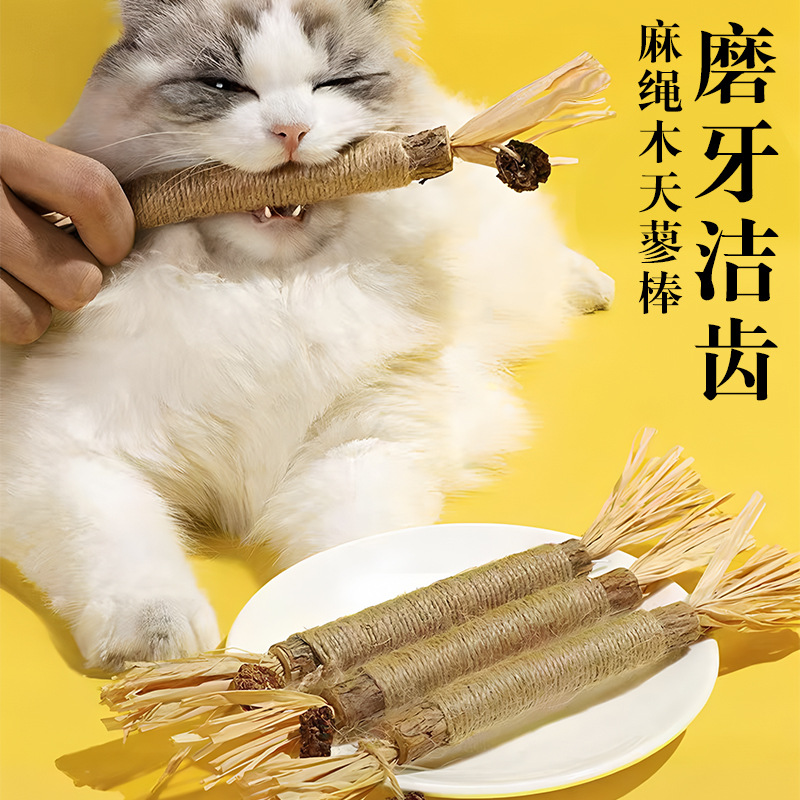 爆款宠物磨牙猫咪宠物智能玩具