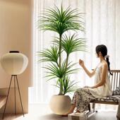 龙血树彷真绿色植物龙须树龙铁树客厅装 饰室内大型假植物盆栽落地