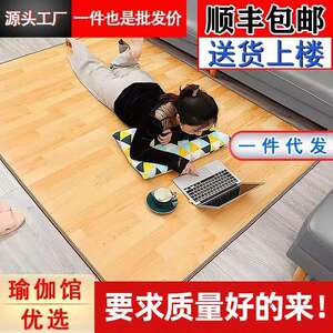 碳晶地暖垫发热家用移动暖脚地热垫客厅石墨烯电加热地垫加热地毯
