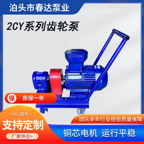 2CY高压齿轮工业泵电动高压不锈钢齿轮泵自吸高压输送齿轮泵